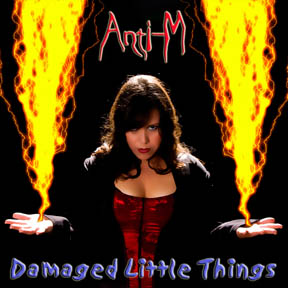 DAMAGED LITTLE THINGS