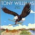 tony williams